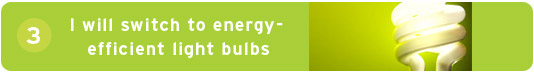 #3 I will switch to energy-efficient light bulbs