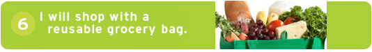 #6 I will shop with a reusable grocery bag.