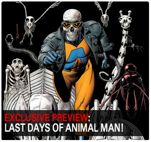 Animal Man