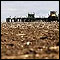 Australian drought worsens