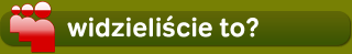 widzieliście to?