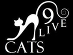 9 Live Cats